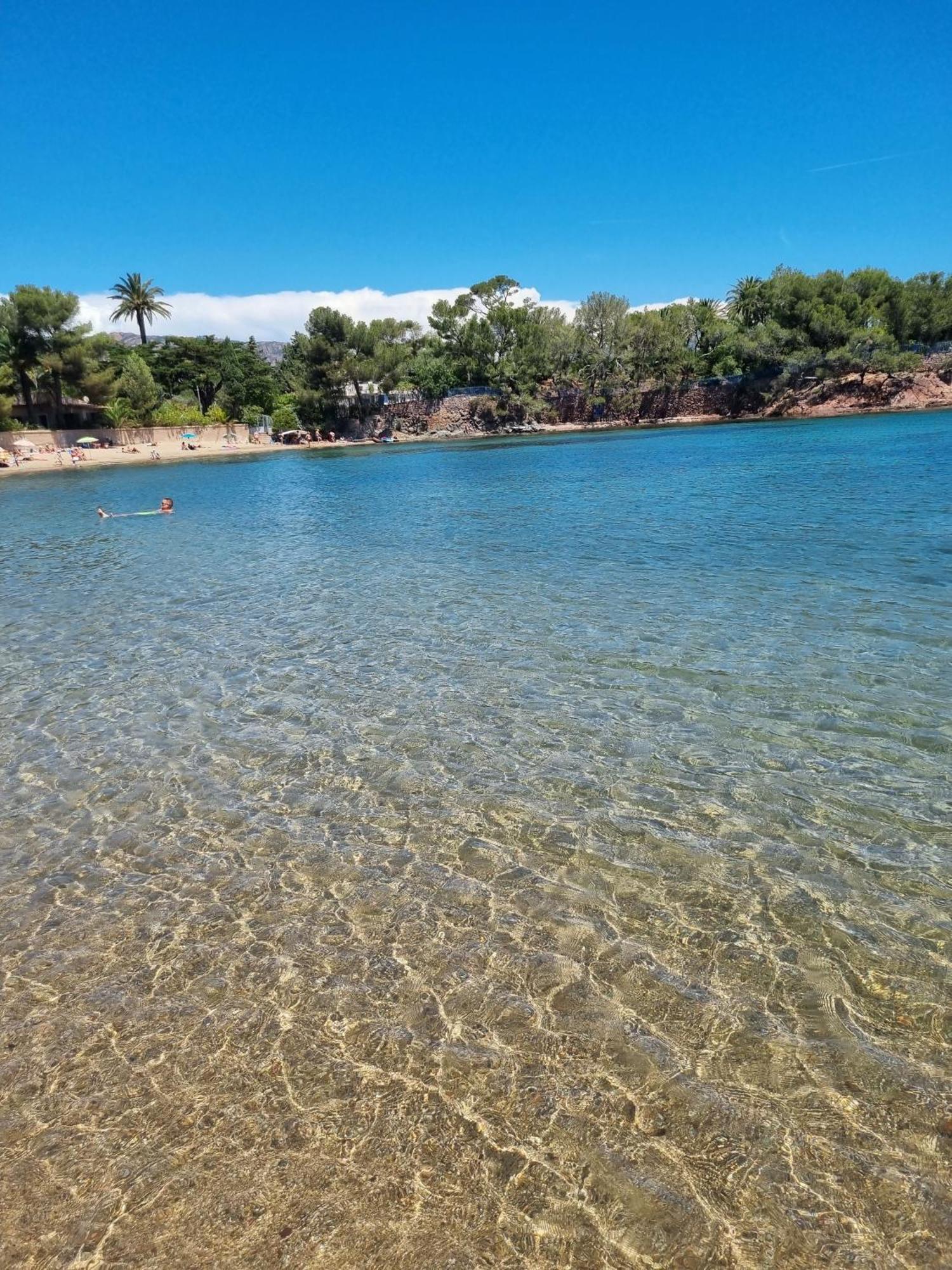 Studio 4P Vue Piscine St Raphael Valescure - Au Coeur Des Golfs Saint-Raphael  Bagian luar foto